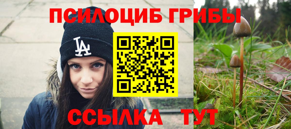 Галлюциногенные грибы GOLDEN TEACHER  Галлюциногенные грибы мухоморы  Комсомольск-на-Амуре  Вход с VPN 